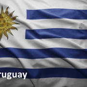Debt collection in Uruguay